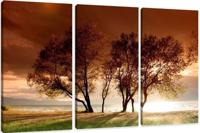 Schilderij - Natuur, 3 luik, 150x90cm