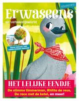 Het lelijke eendje en 7 andere verhalen (Paperback)