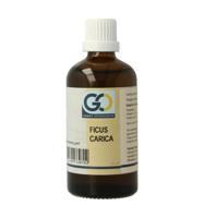 Ficus carica bio