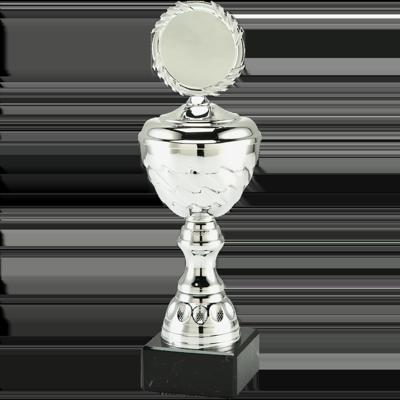 Sportprijzen Leiden Trofee MT.138.02