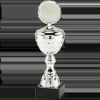 Sportprijzen Leiden Trofee MT.138.02