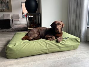 Dog's Companion® Hondenbed olive