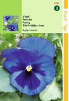 Zaden Viola Viool Alpenmeer Hortitops - Hortitops