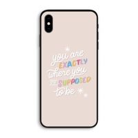 Right Place: iPhone XS Max Biologisch afbreekbaar hoesje