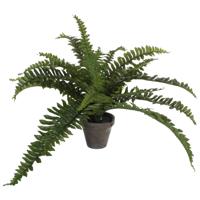 Mica Decorations Boston Varen kunstplant/kamerplant - groen - in pot - H35 cm x D45 cm
