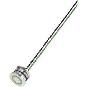 TRU COMPONENTS 649962 PS223P10Y01G24T Piëzotoets Groen (Ø) 28 mm 1 stuk(s)