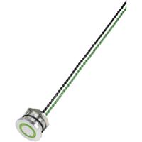 TRU COMPONENTS 649962 PS223P10Y01G24T Piëzotoets Groen (Ø) 28 mm 1 stuk(s)