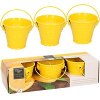 Citronella kaarsen - in zink potje - set 6x - geel - 5 branduren