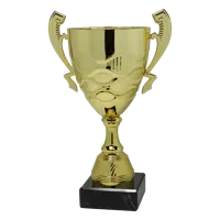 Sportprijzen Leiden Trofee Serie91