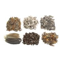 Colorations - natuurlijke veren
