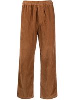 Stüssy pantalon droit en velours côtelé - Marron