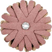 PFERD TOOLS 42732126 Schuursterren Diameter 80 mm 10 stuk(s)