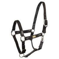 BR Halster Brooke - thumbnail