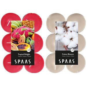 Candles by Spaas geurkaarsen - 24x stuks in 2 geuren Blossom Flowers en Tropical Delight