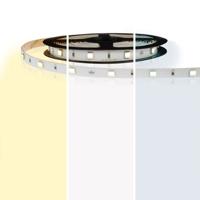 8 meter led strip dual white budget - 60 smd leds pm - 24v ip20