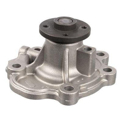 Waterpomp 39300