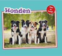 Honden (Hardback)