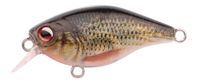 Spro Ikiru Naturals Min.Crank 38SL Roach Spro Ikiru Naturals Min.Crank 38SL Roach