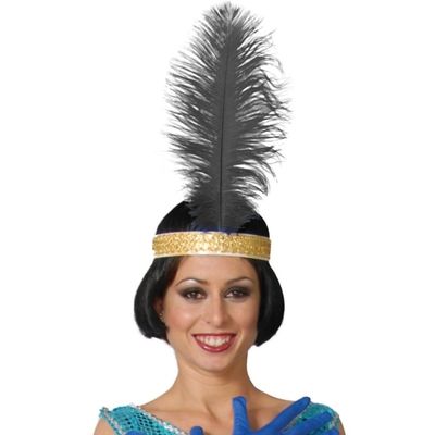 2x stuks zwarte pauwenveer charleston/jaren 20 verkleed accessoire 40 cm 2x stuks zwarte pauwenveer charleston/jaren 20 verkleed accessoire 40 cm