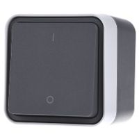 30723505  - Off switch 2x1-pole surface mounted grey 30723505 - thumbnail