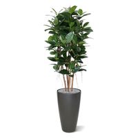 Philodendron Kolom kunstplant 155cm