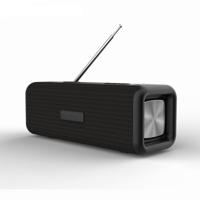 T9 draadloze Bluetooth 4 2 speaker 10W Portable Sound Box FM digitale radio 3D surround stereo ondersteuning handsfree & TF & AUX (zwart)