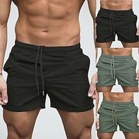 Voor heren Boardshorts Zwemshorts Lange zwembroeken Trekkoord Met zakken Effen Sneldrogend Comfortabel Feestdagen Zwembad Casual / sportief Zwart Donkergroen Lightinthebox