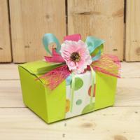 Bonbon doosjes - Chocolade doosje - Limoen Laag Compleet Color dot - 24 stuks