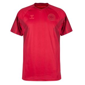 Denemarken Shirt Thuis 2022-2023