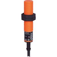 ifm Electronic Inductieve sensor IG0092
