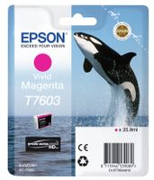 Epson T7603 vivid magenta - thumbnail