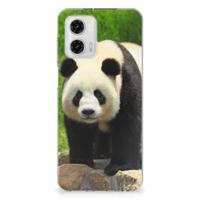Motorola Moto G73 | TPU Hoesje | Panda