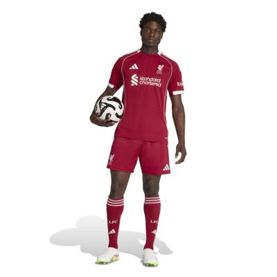 adidas Liverpool Thuistenue 2025-2026