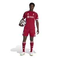 adidas Liverpool Thuistenue 2025-2026
