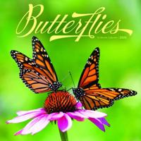 Vlinders Kalender 2026