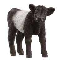 Schleich FARM WORLD Galloway Kalf 13969 - thumbnail