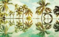Noordwand Komar Pure Fotobehang Key West - P012-VD4