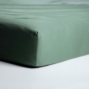 Cinderella Jersey Hoeslaken Green-1-persoons (80/90x200 cm)