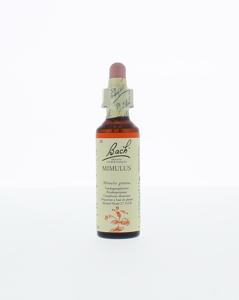 Bach Mimulus/maskerbloem