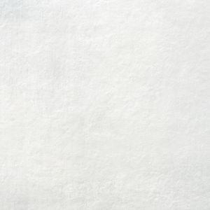 Vloertegel Alaplana P.E. Slipstop Horton White Mat 60x60 cm Mat Alaplana