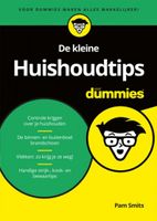 Pam  Smits Voor Dummies   De kleine huishoudtips voor Dummies - thumbnail