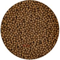 Vivani Top Growth 3mm Koi Vijvervoer - Kleur & Groei Versterkend - 5L Emmer