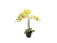 Orchidee kunstplant 3-tak 68 cm, groen - Buitengewoon de boet