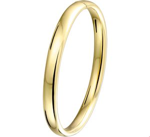 Armband Zilgold Bangle Geelgoud met zilveren kern 7 mm