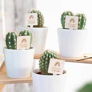 Bloempot met full color print plantensteker - set van 12