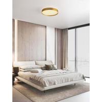 Lyora PlafonniereRoi goud Ø 40cm - 9030533