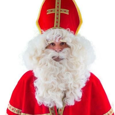 Sinterklaas verkleed set - wenkbrauwen buffelhaar - baard/pruik/snor - Goed Heiligman