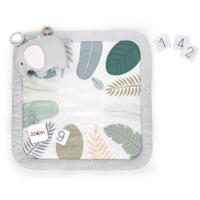 Ingenuity Sprout Spot Awakening tapijten - evolutive - 12 evolutionaire kaarten - 7,62 x 102 x 102 cm - Multicolor - Des Ben