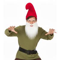 Kabouter set - baard - wit - puntmuts - rood - carnaval - verkleden