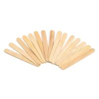 Colorations Large craft sticks 500st